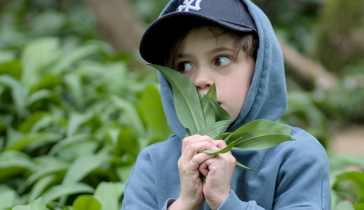 Child holding leaves